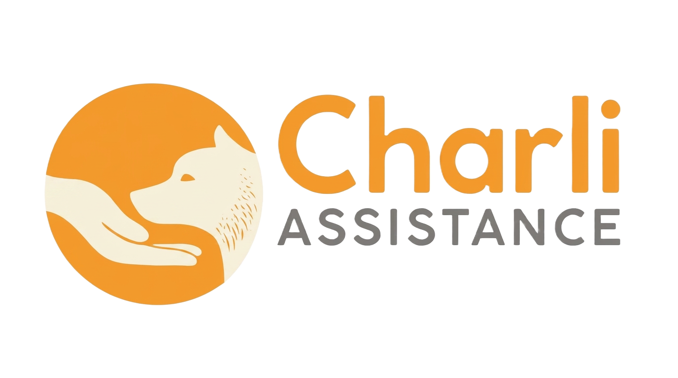 Charli Assistance